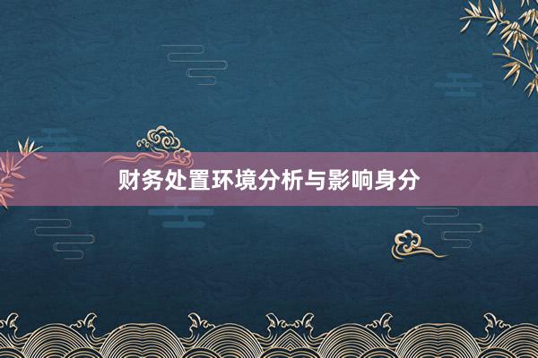 财务处置环境分析与影响身分